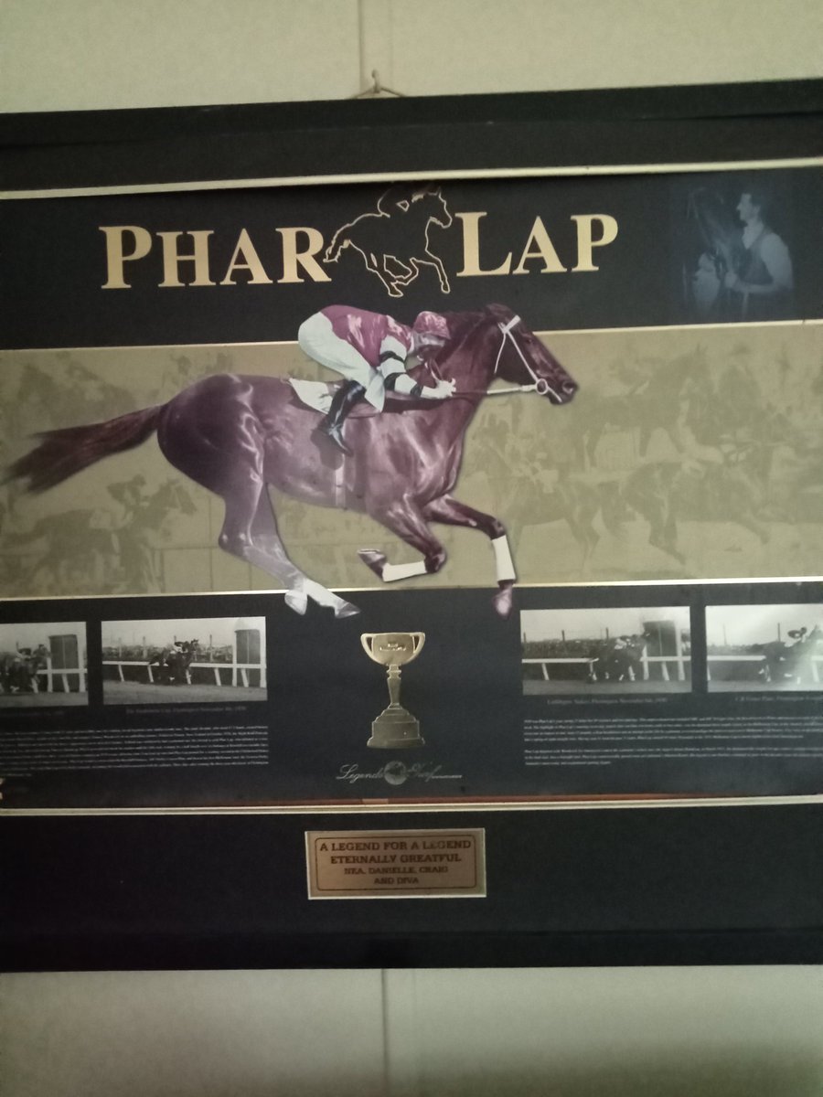 20 bucks in the op shop 🌹