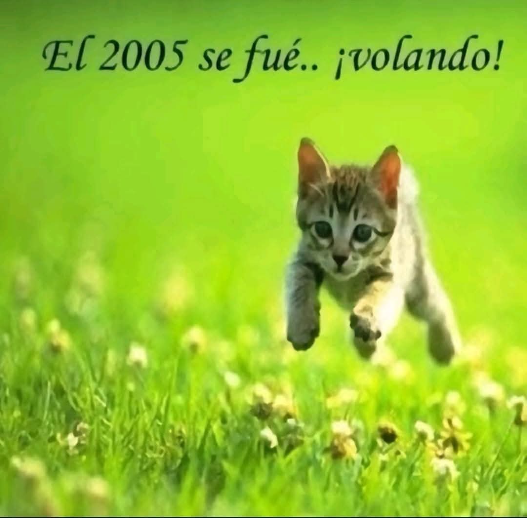 BitZ ΔΔΔ tweet media