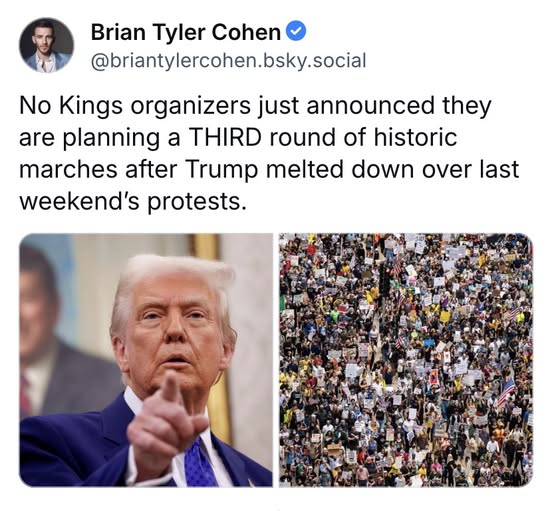 I must have missed the meltdown.
Did you see it?