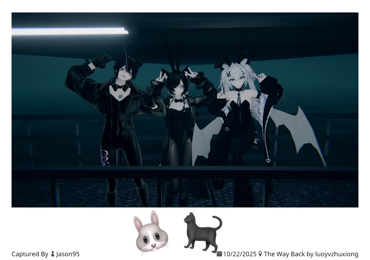 🐰🐈‍⬛