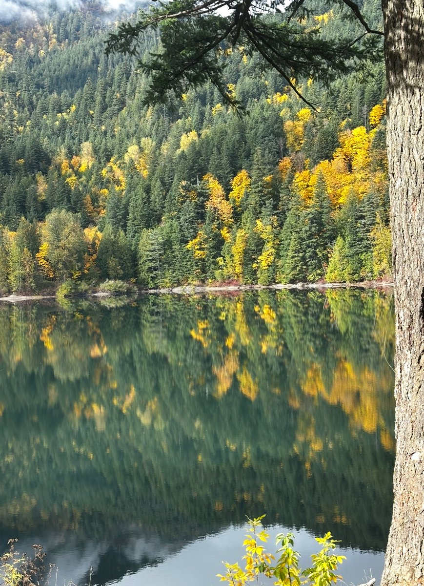 When a lake becomes a mirror ✨