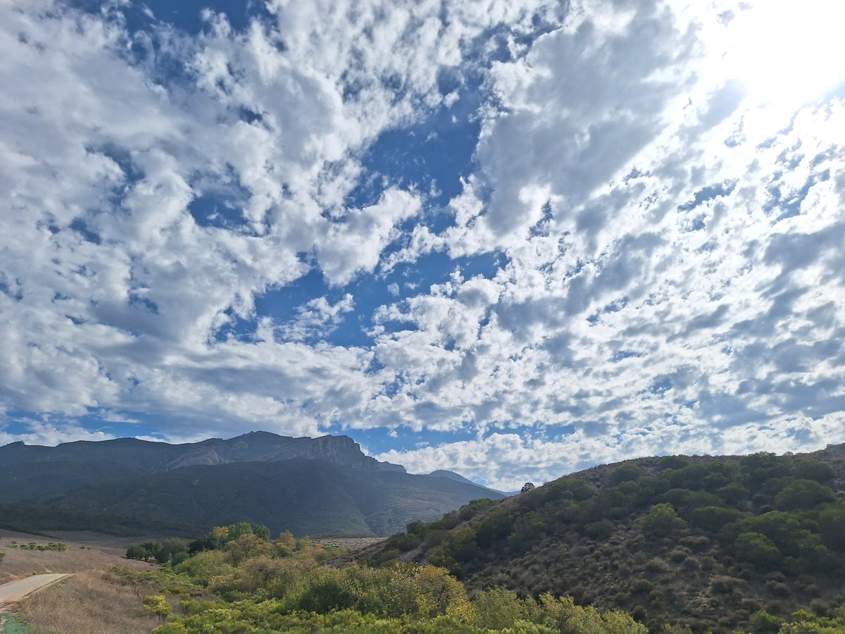 CLee71's tweet image. 