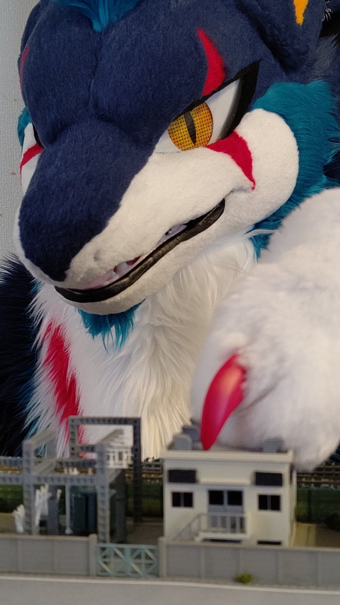 ❤️アカネコ様❤️ wakaneko on X