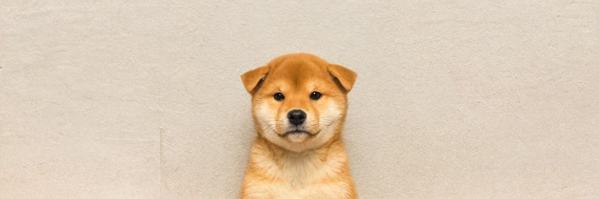 FHbrvbPdYEEcfMrctrUH2Phc8f2QbxY34fCFt5Nfpump