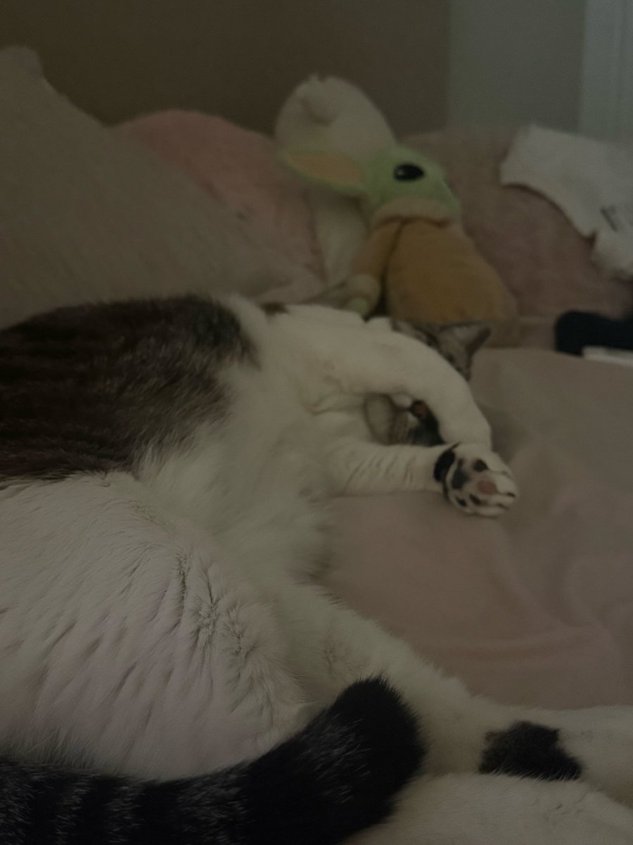 sofisoftie's tweet image. 👋👋