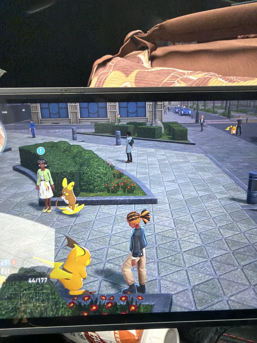 there are so many raichu in ZA i'm loving life