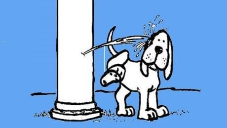 HerbertAlves96's tweet photo. @MarcosBianchiJ1 É definitivamente o poste mijando no cachorro https://t.co/CyUQB7dHFp