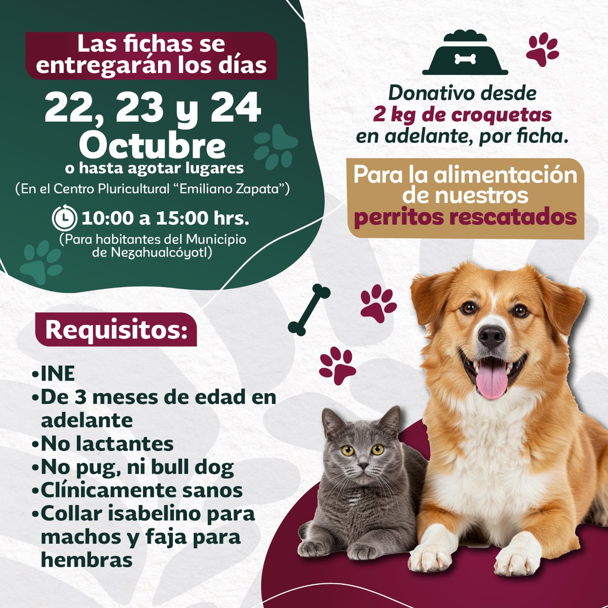 GobNeza's tweet photo. Ser un #tutorresponsable, 🙋♀️🙋♂️ es entender que los #perritosrescatados, 🐶también necesitan de nosotros, por ello te invitamos a participar en la siguiente #JornadaDeEsterilización 💉 y donar para apoyarlos.
Con el ❤️x el #MedioAmbiente 🌎🐾 https://t.co/LxPhVxDz6L