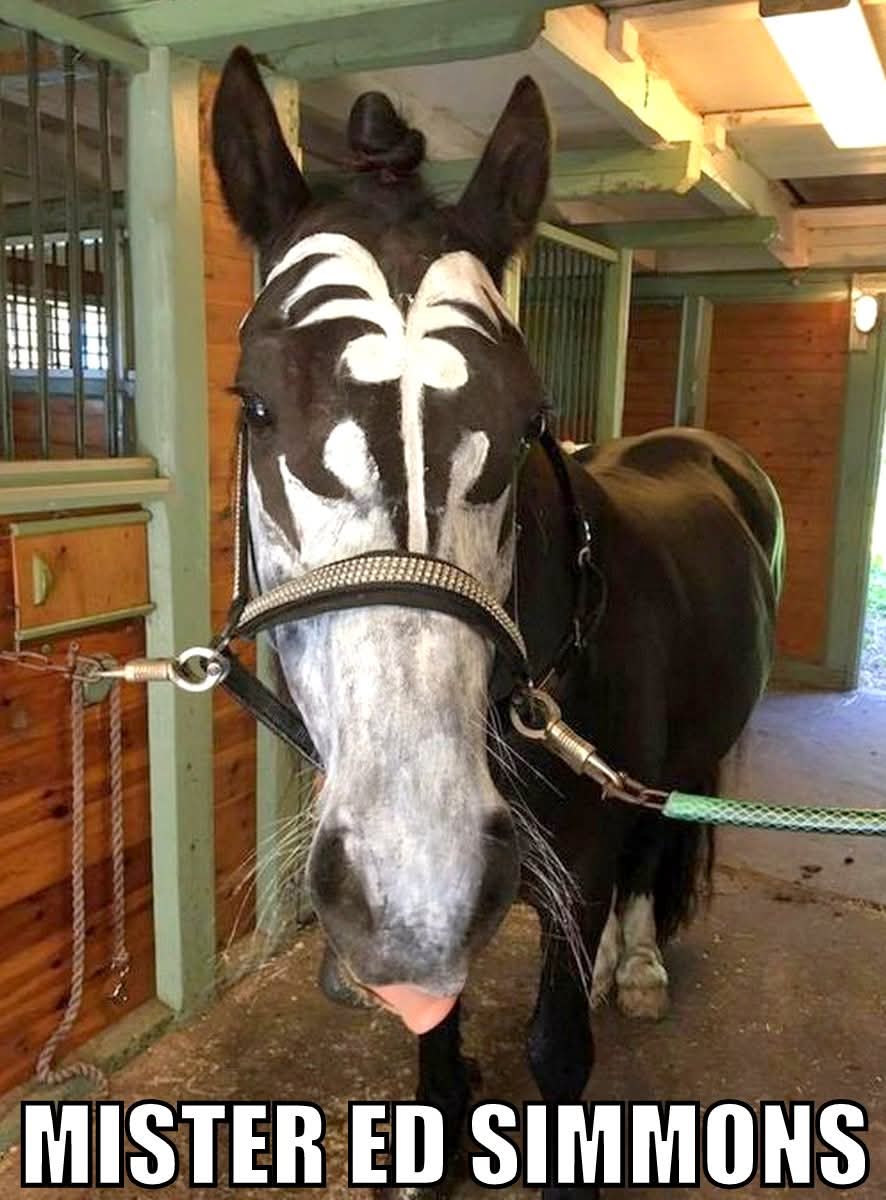 Kaylene w (@kaylene32418877) on Twitter photo 