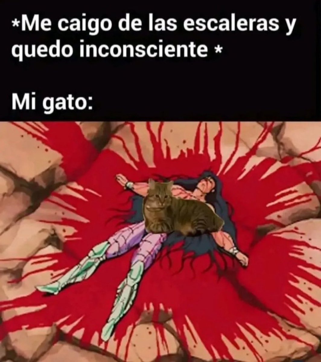 _onerolita's tweet image. 