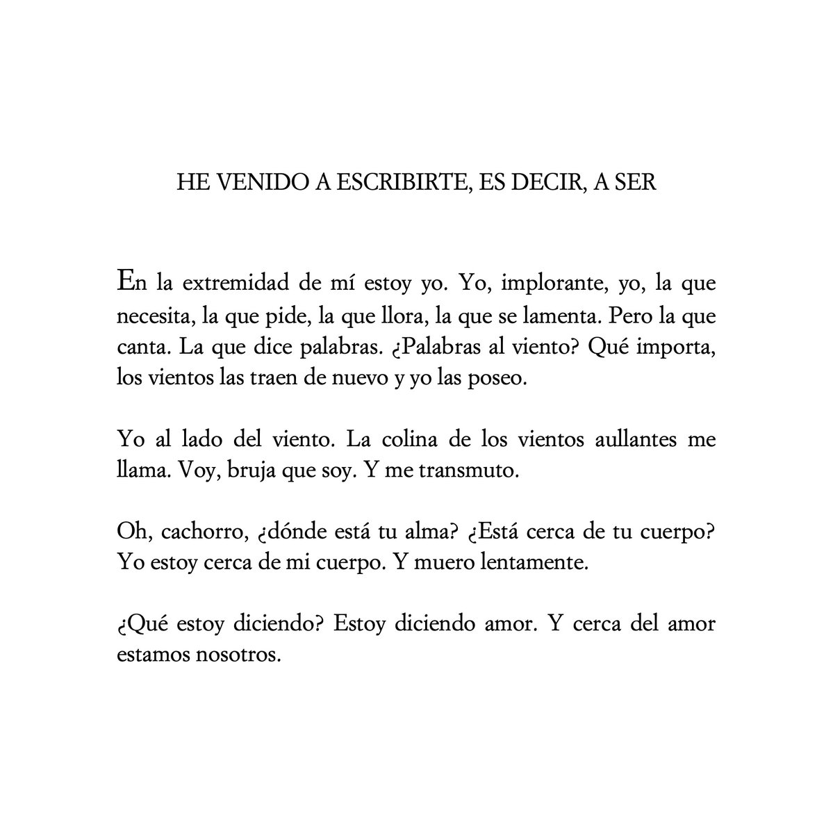 «Cerca del amor estamos nosotros».

Clarice Lispector traducida por Cristina Peri Rossi.