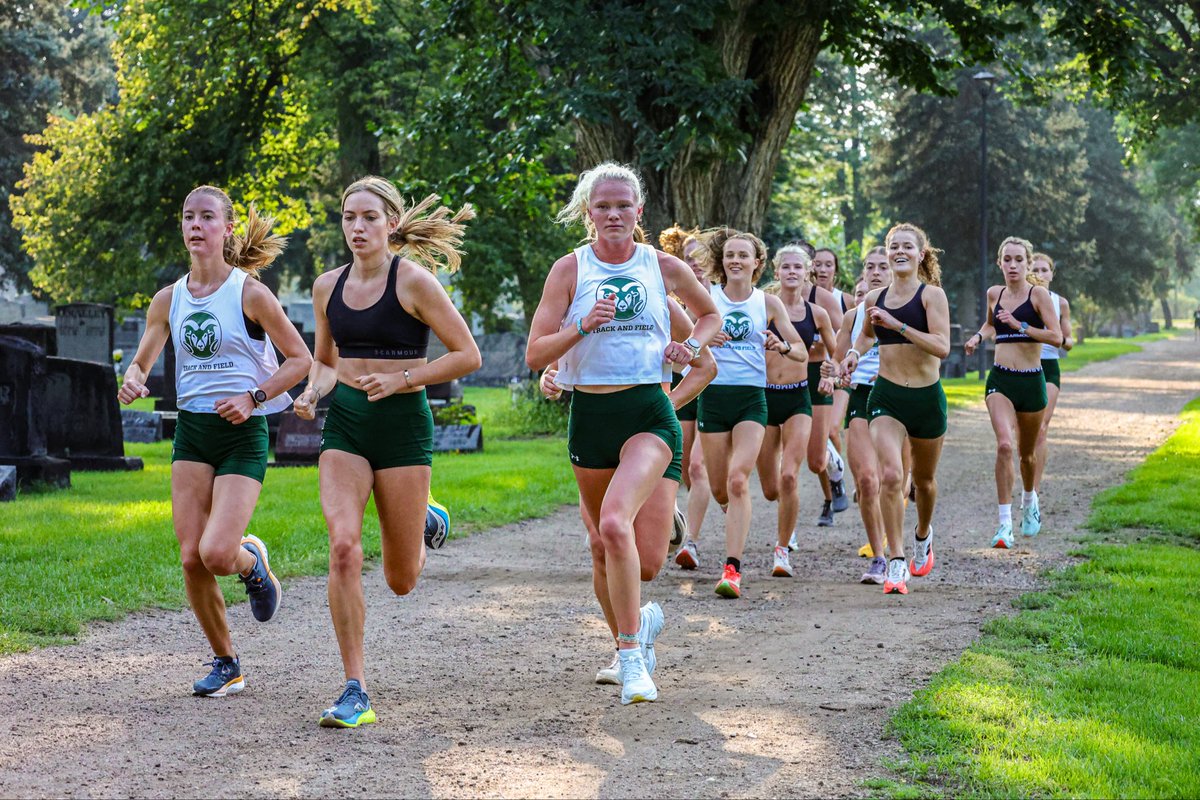 CSUTrackFieldXC's tweet image. 𝙈𝙊𝙐𝙉𝙏𝘼𝙄𝙉 𝙒𝙀𝙎𝙏 𝙍𝙀𝘼𝘿𝙔 ‼️

The Mountain West Cross Country Championships are next week!

#Relentless x #CSURams