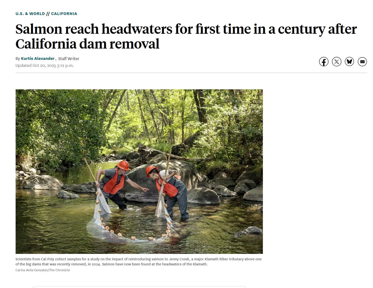 𝙲𝚑𝚊𝚛𝚕𝚎𝚜 𝙲. 𝙼𝚊𝚗𝚗 tweet media