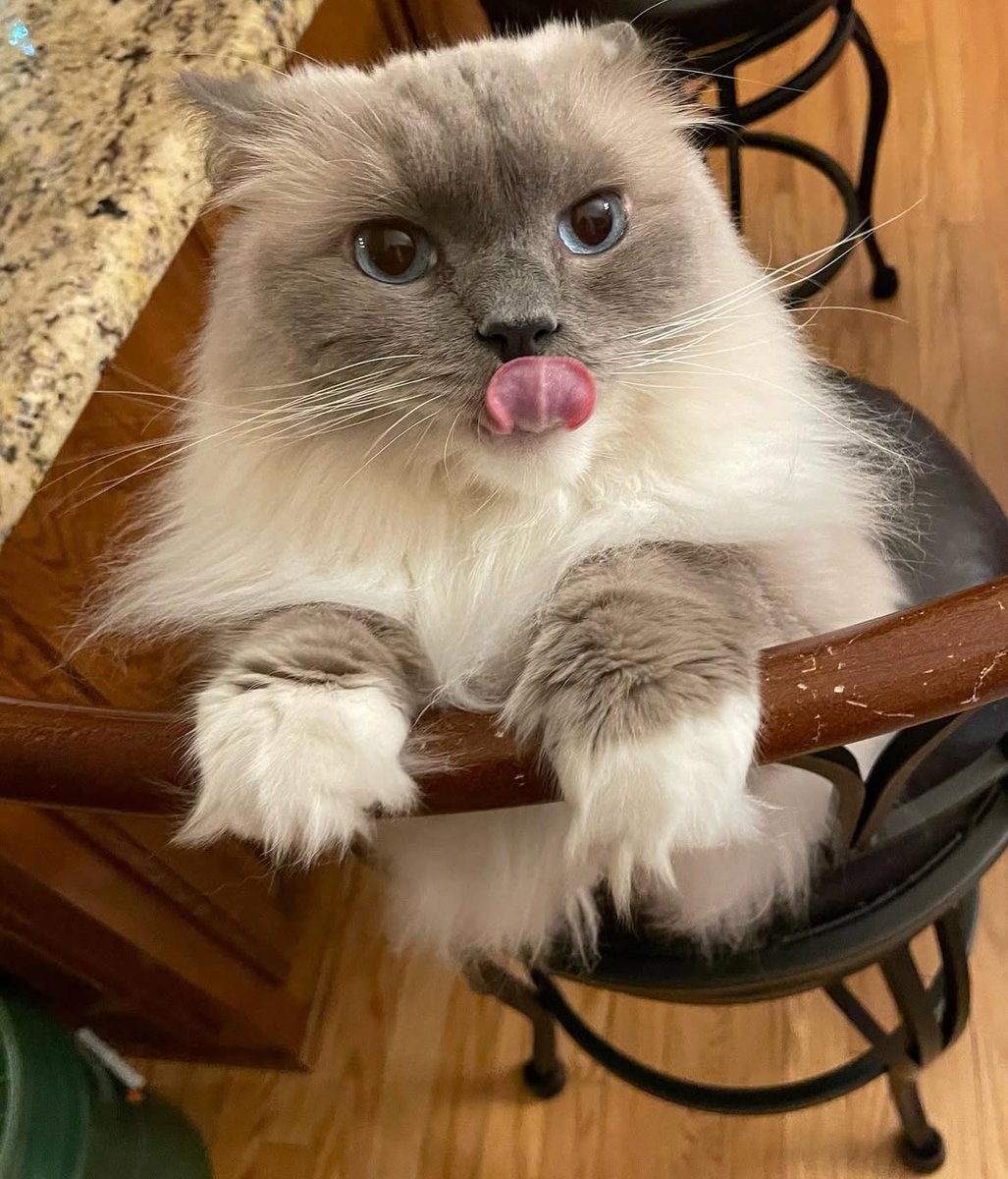 🥩 😋 🌙🤠😴