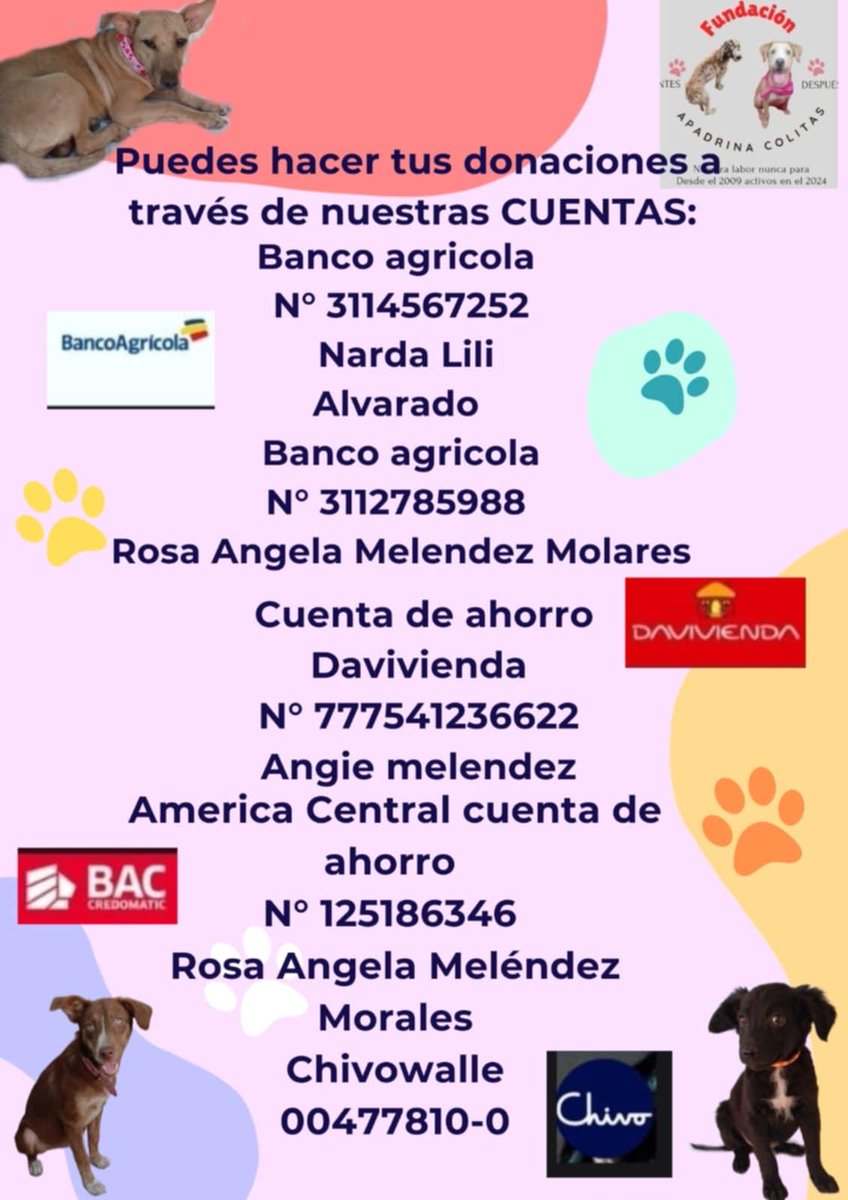 Amigos comida No tenemos 
No hay para la cena los perritos adultos necesitan ayuda porfavor 😢

Todo se suma nada espoco
Si cada donanante donara $5 llegamos a la meta de 10 sacos al mes 😭💔

WhatsApp #76174944 

<a href="/Alejand35954067/">Alejandro Miranda Martínez</a> <a href="/cantanteioh/">LukaPopi</a> <a href="/chamaguaJR/">José Raúl Chamagua.</a> <a href="/DalilaGV/">D G.</a>