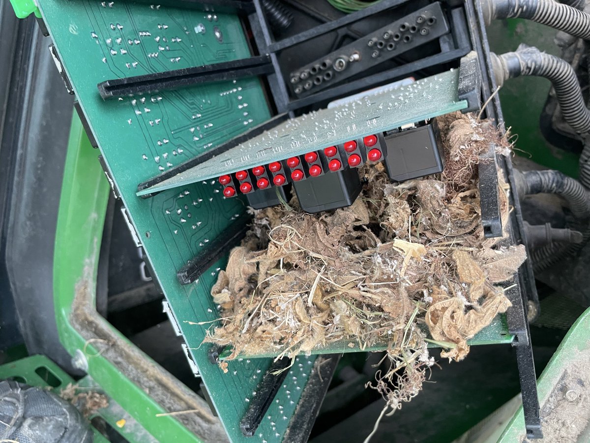 I hate these bastards.