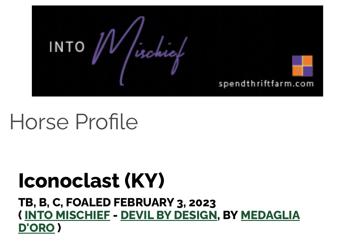 BelladonnaRaci1's tweet photo. We have our last name to unveil for our group of 2YOs (it’s not easy naming Thoroughbreds)! Meet ICONOCLAST (Into Mischief-Devil By Design, by Medaglia d’Oro).
#2yoTuesday 🤩 https://t.co/IePUfMTlt4