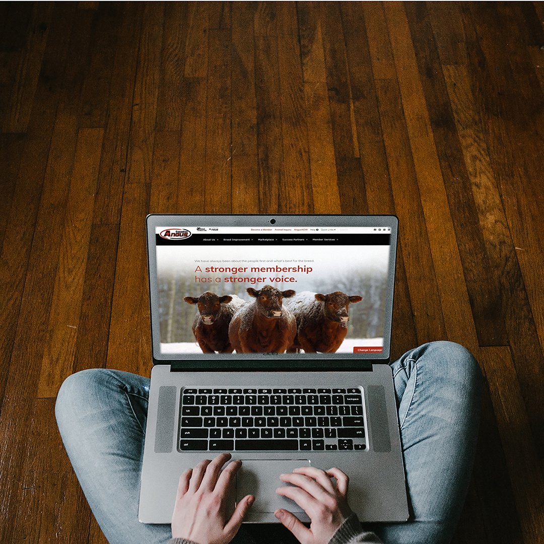 Did you know you can submit #cdnangus performance data using Excel worksheets, available for download from our website at cdnangus.ca/forms ? Try out the Female Exposure &amp; Disposal worksheet now.