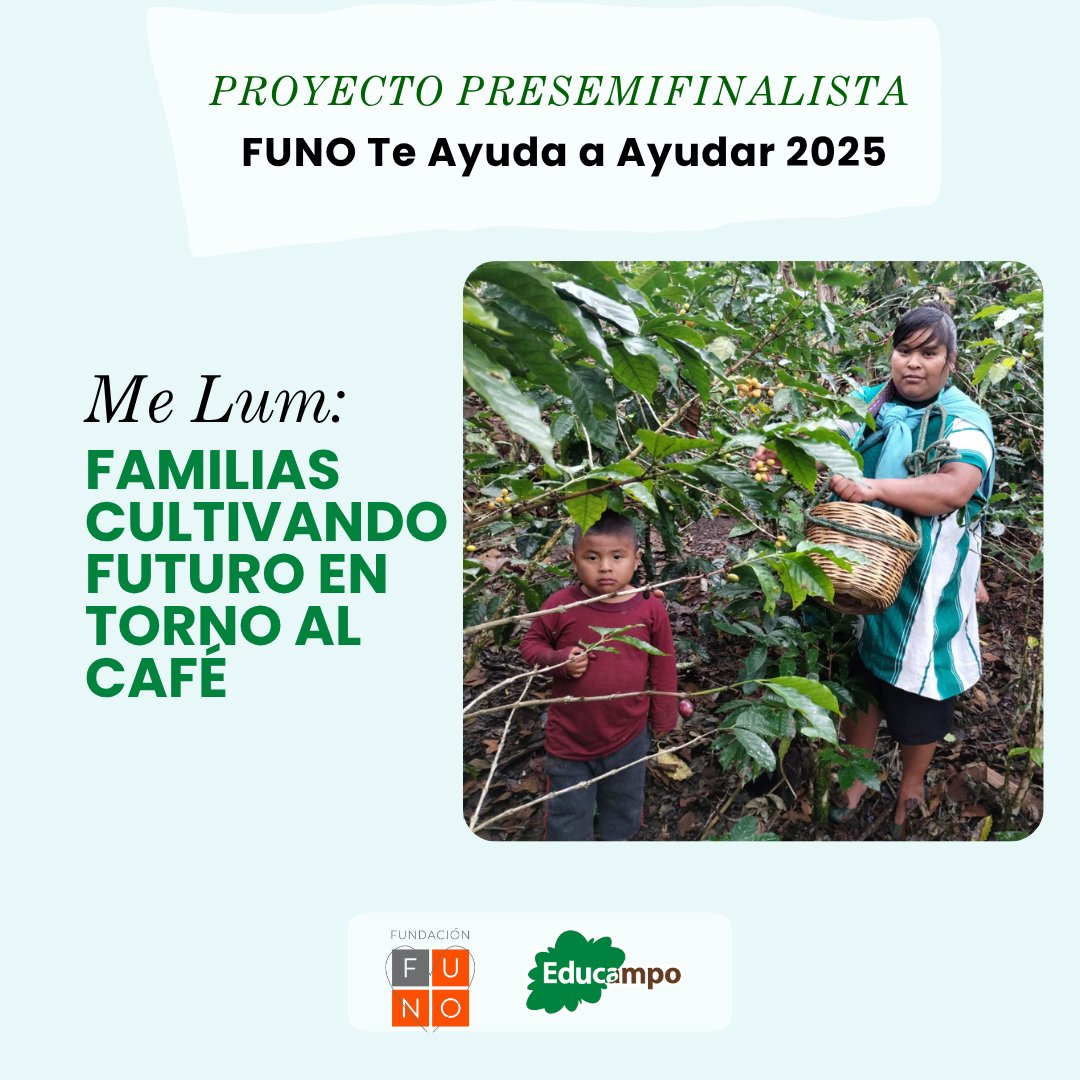 🌱 “Me Lum: Familias cultivando futuro en torno al café” fue seleccionado como presemifinalista en #FUNOTeAyudaAAyudar2025.

230 familias tzeltales y tsotsiles en Chiapas impulsarán agricultura regenerativa y cadenas justas. 💚

<a href="/FundacionFuno/">Fundación FUNO</a> #Educampo #TerritoriosCafetaleros