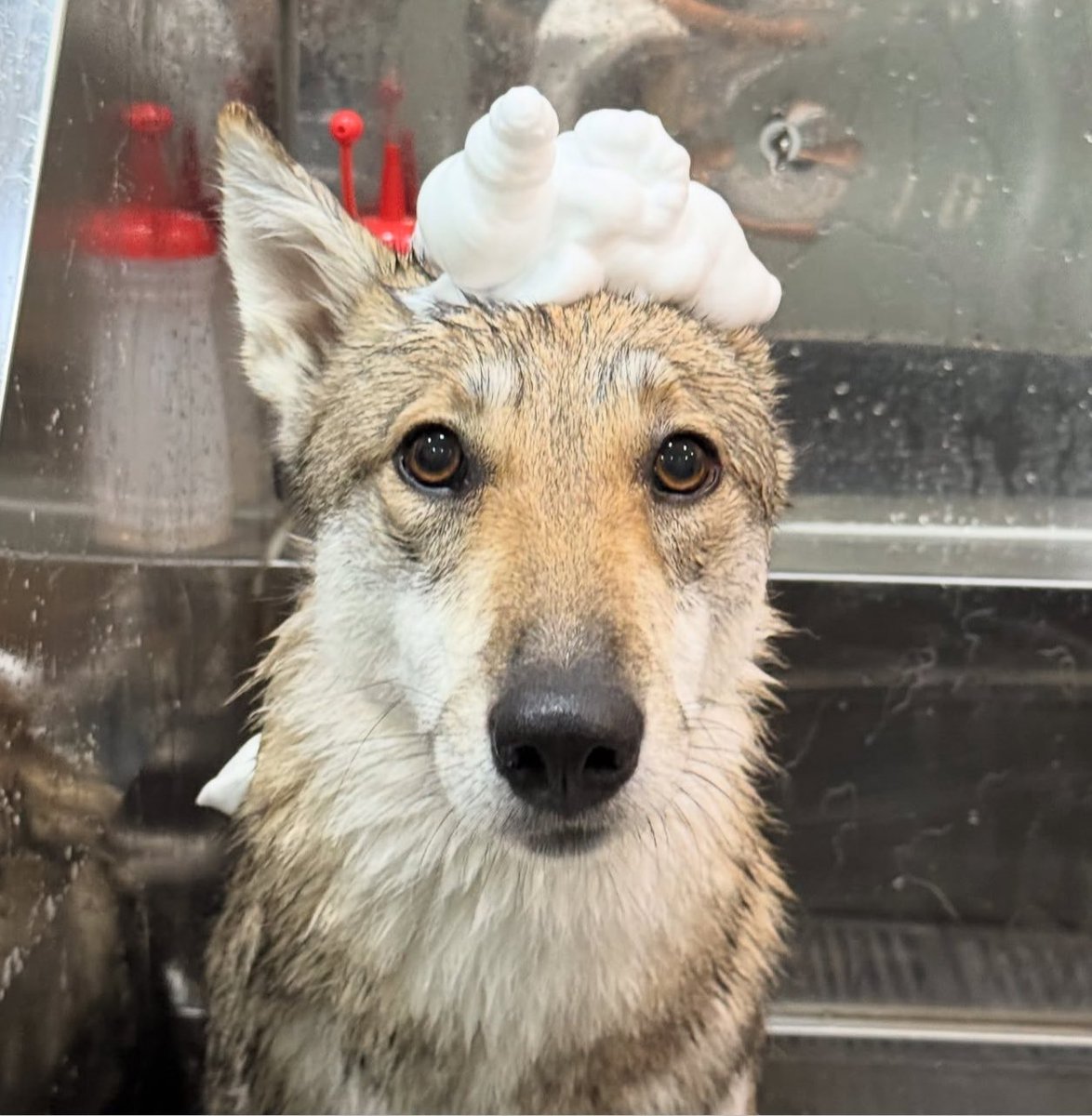 how i feel liking nearly all of my oomfs tweets several times a day whilst never posting anything in return