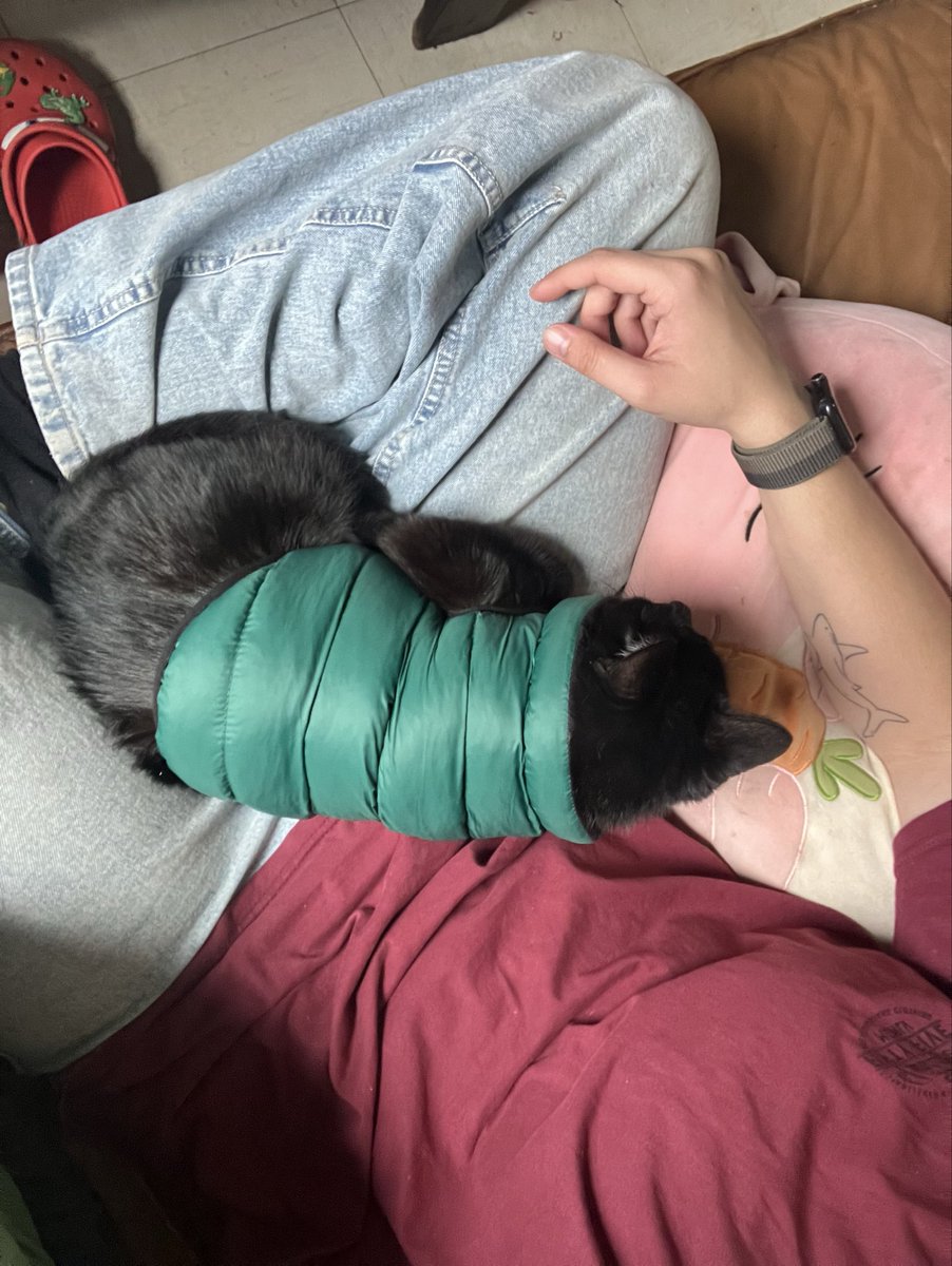 Having a sleep in the winter coat