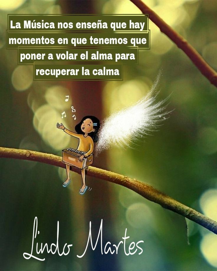 Cattleya_Soy tweet media