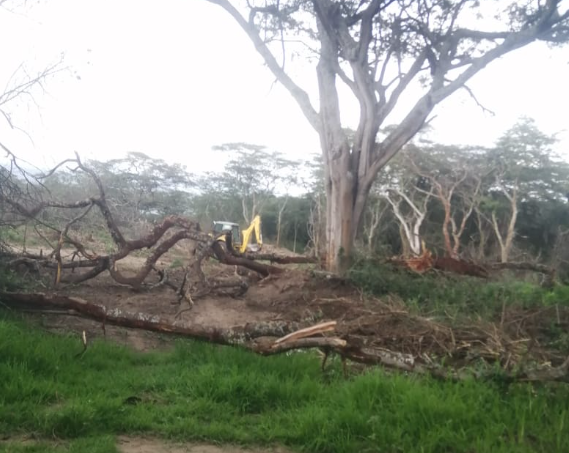 IlaloVerde's tweet photo. La acción coordinada de las autoridades mencionadas puede servir para detener delitos que incluyen alteración de uso del suelo y destrucción de patrimonio natural y cultural (arqueológico) en #Chilcapamba. Apoyemos con la máxima difusión @TumbacoI @CarlosVerareal @CabildoCivico https://t.co/pMTD7f1jOz