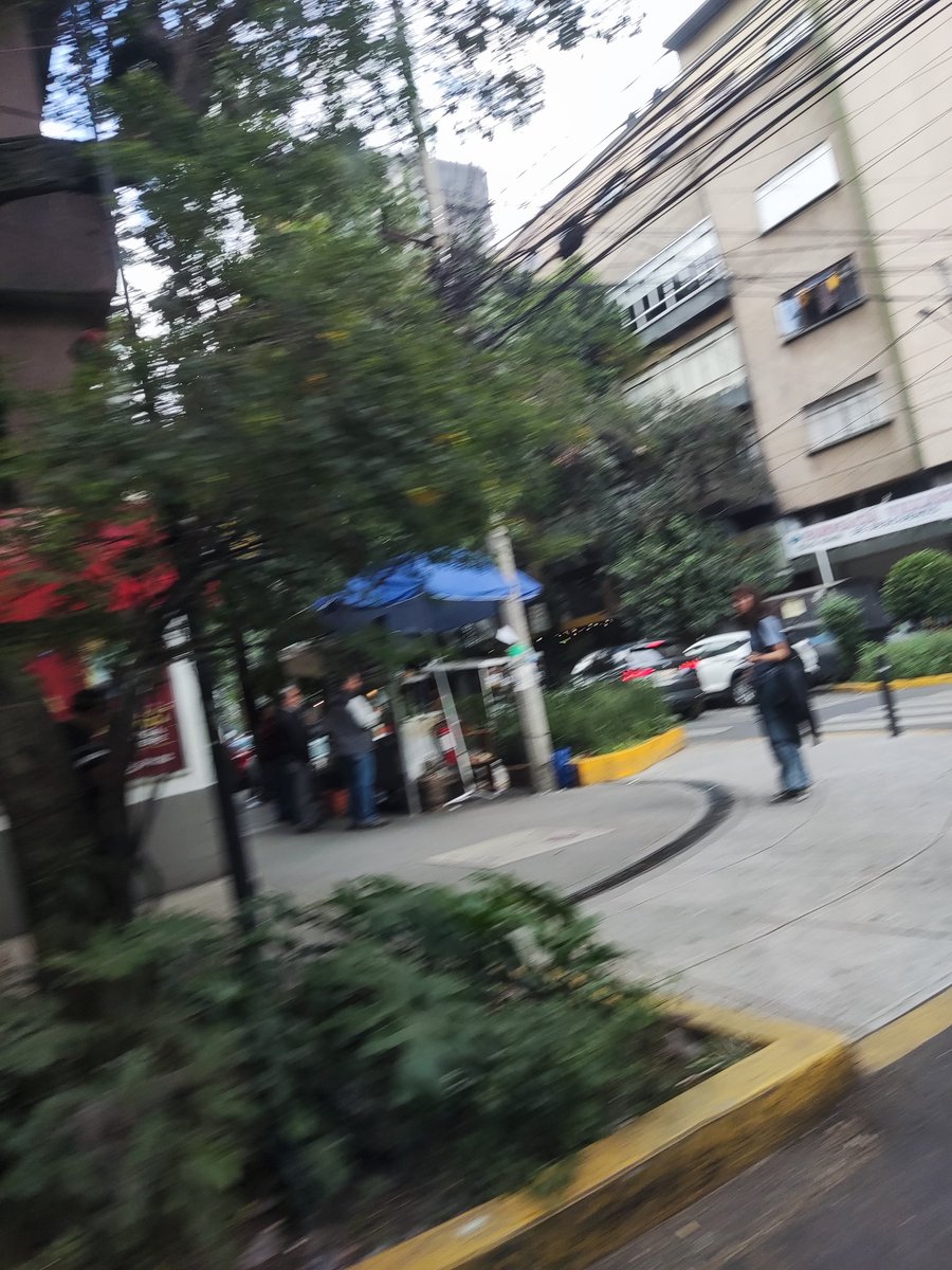 Melchor Observa tweet media