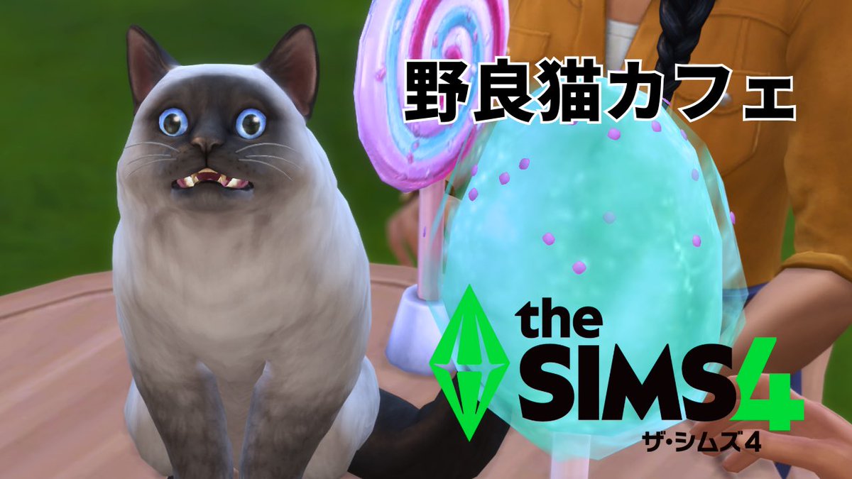 #シムズ4 動画を公開しました！イベントの続きとスモールビジネス経営です。

ウサギカフェを目指してたら野良猫カフェになった
youtu.be/hDDYBHM0g4E