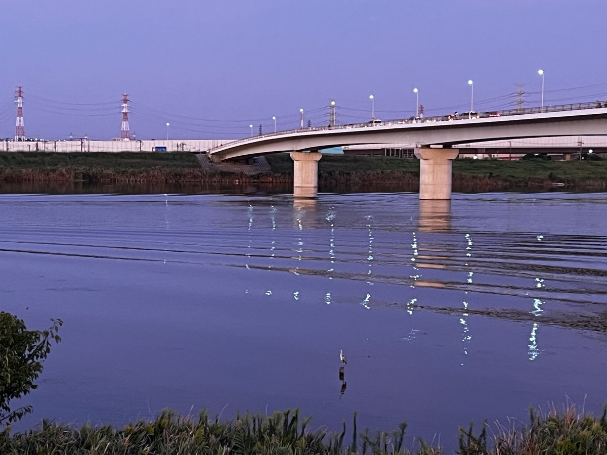 石和井もも (@iwashimo_cha) on Twitter photo 