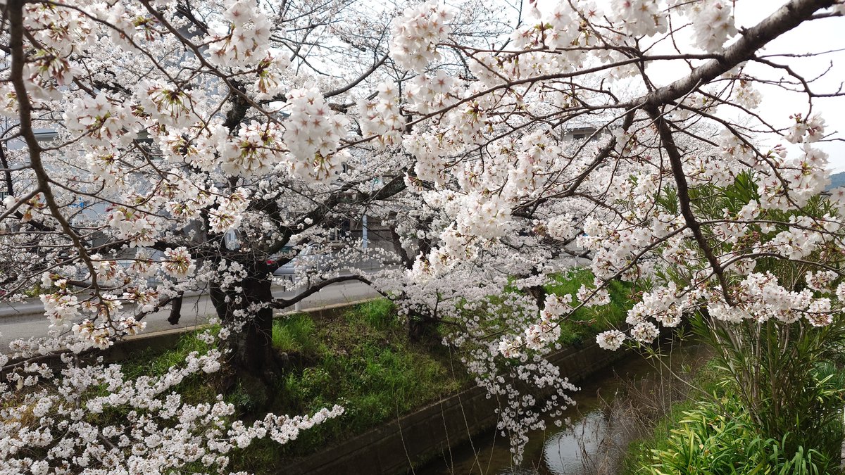 shuuho_'s tweet photo. 色んな所を旅して、見聞を深めていきたいと思うようになってきたこの頃。
まだ行ったこと無い場所や、現地やネット上での出会いも大切にしていきたい気持ち。次は、何処に行こうかな✨ https://t.co/mwsmZW3KP3