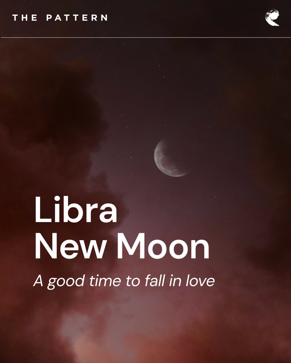 thepattern tweet media