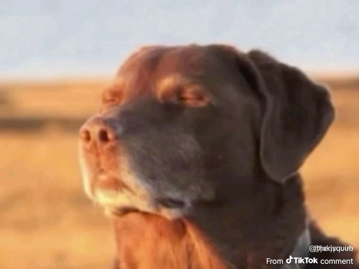 wxnse_'s tweet image. 1. Find a working strategy 
2. Work on your trading psychology so you stick to your working strategy 
3. Get funded 
4 . Use profits from no.3 to buy a bigger prop 
5. Cashout your first 4 figure payout 
6. Scale up 
7. Cashout your first 5 figure payout 
8. Blow it 
9. Go back…