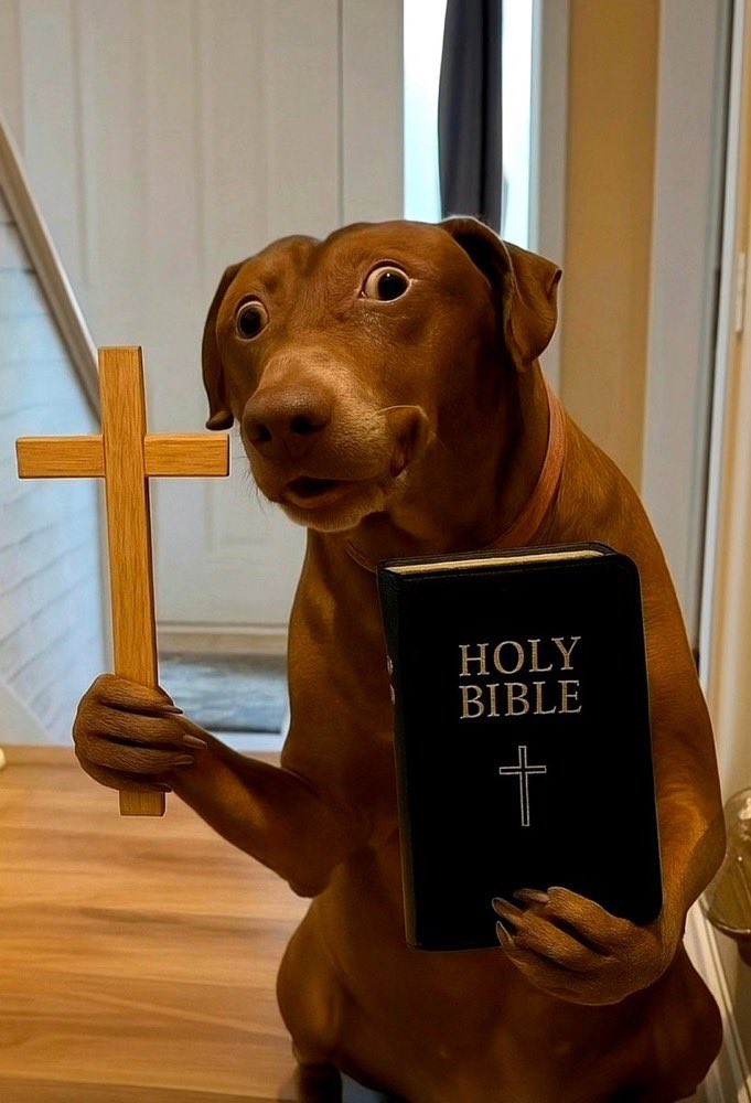 Xolile-Neymar🫡 (@umzozozo) on Twitter photo 