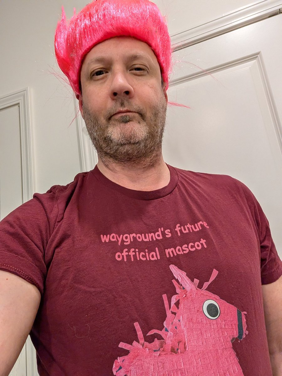 DavidHinrichs's tweet photo. It #techtshirttuesday and I'm getting ready to meet the @waygroundpinata at the @EduGuardian5 exchange. @waygroundai #eduguardians https://t.co/WeRNEzivlB