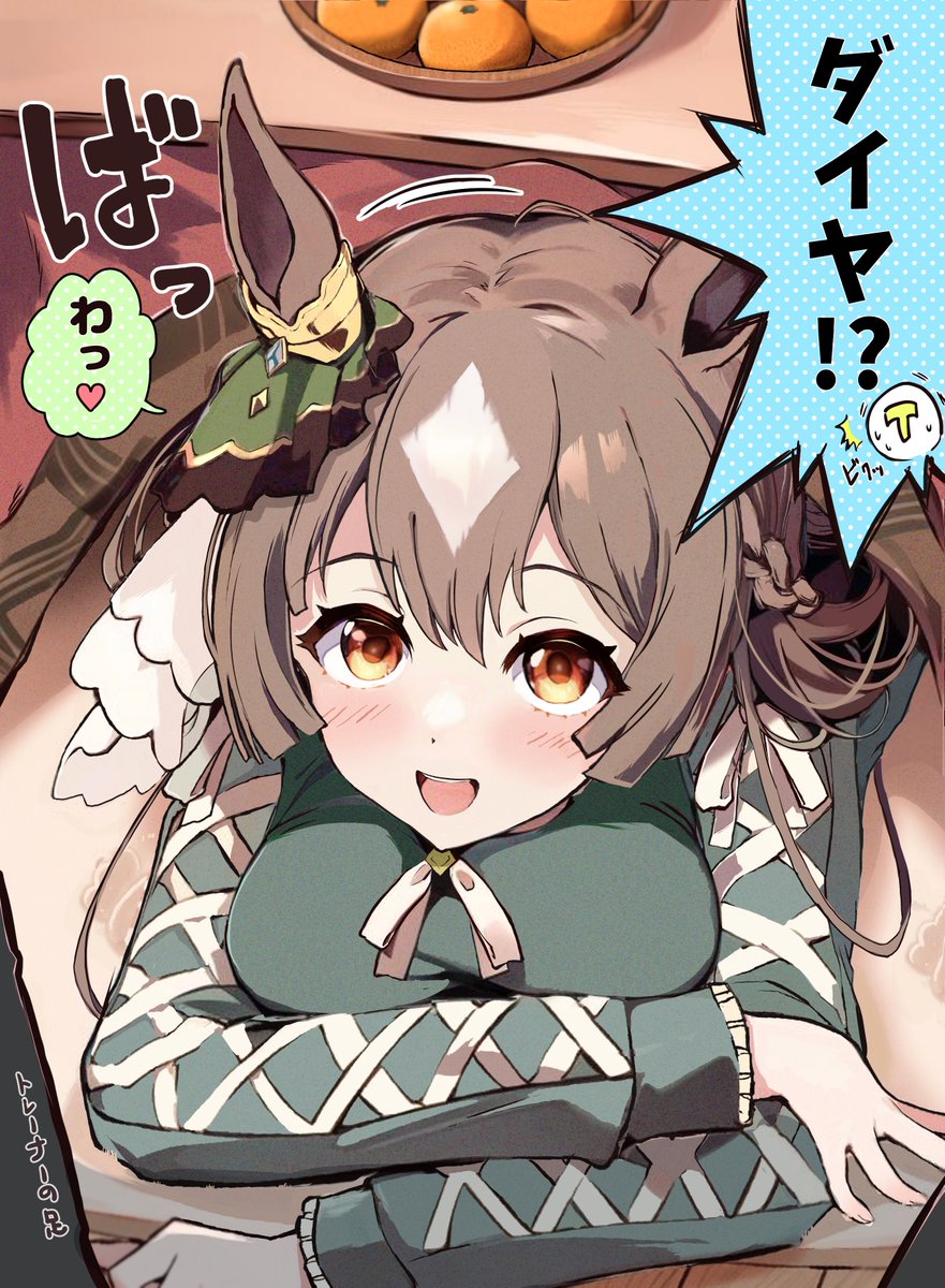 寒いからコタツ出した