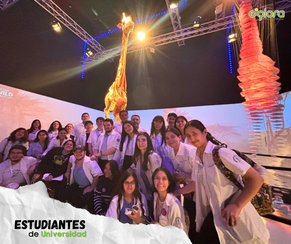 ExploraLeon's tweet image. Iniciamos la semana con estudiantes de Veterinaria que siguen fortaleciendo su formación a través de experiencias únicas como Body Worlds: Animal Inside Out. 
#AnimalInsideOutExplora
#SafariDeCienciasExplora