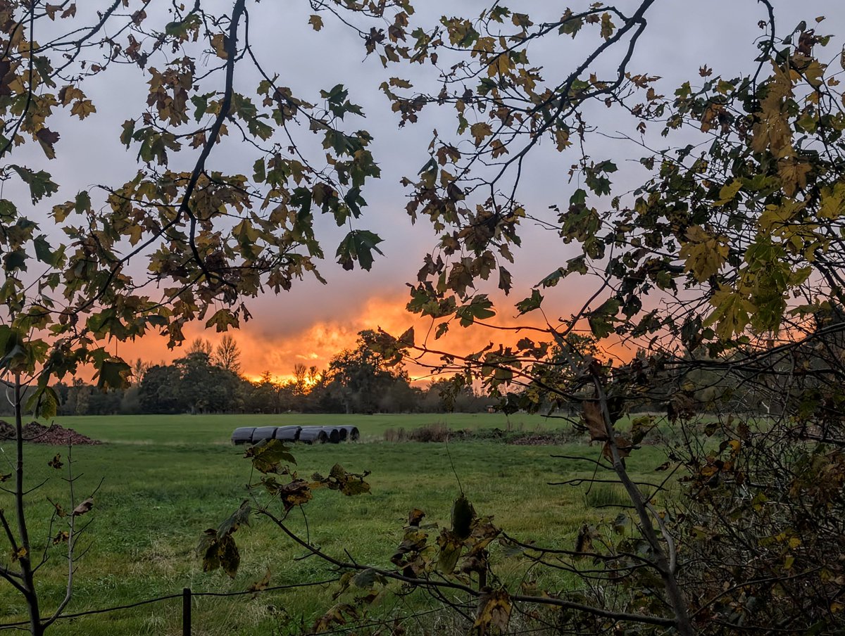 Lady JBean 🏴🇬🇧🇦🇺🇨🇦🌍 tweet media