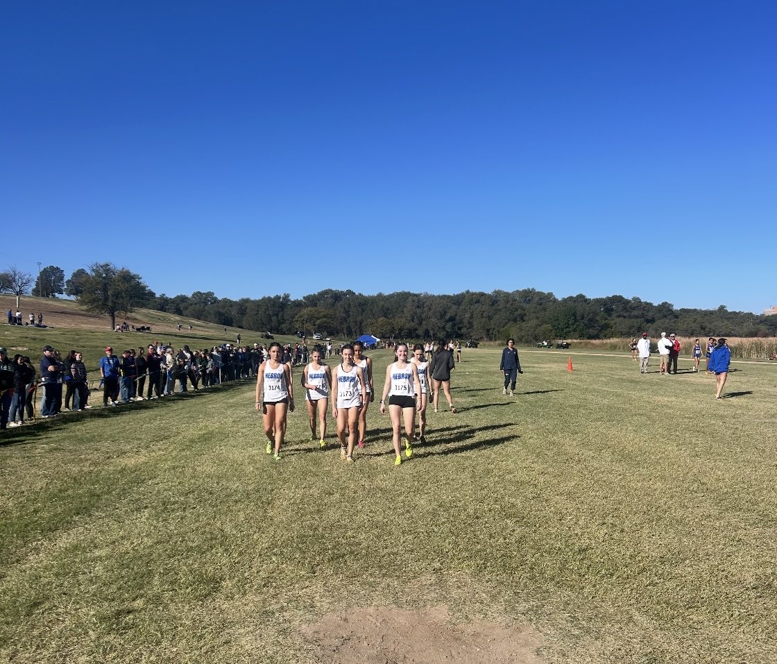 Hawk Running tweet media