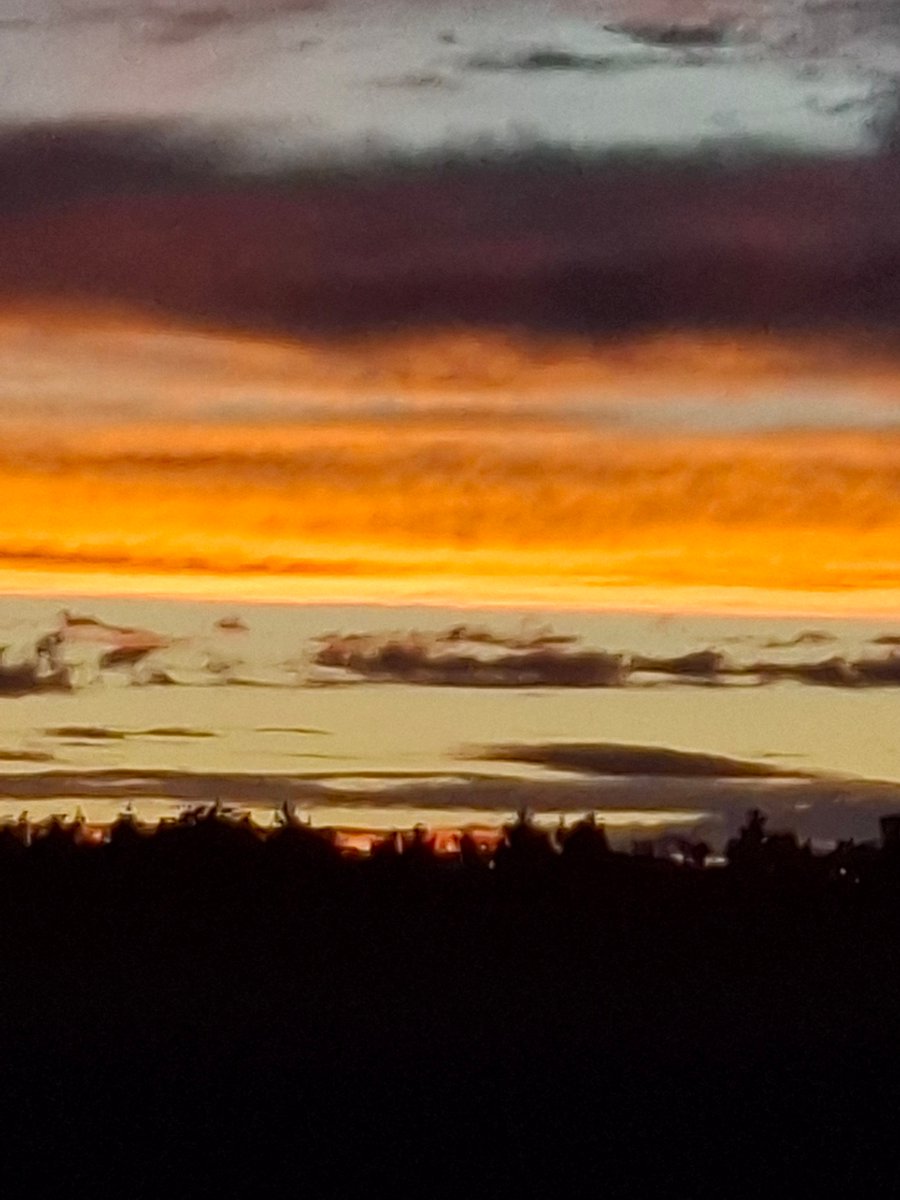 Libera 🇩🇪 🇮🇹 tweet media