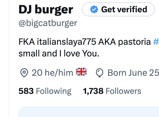 bigcatburger's tweet image. Thank you for 1738 followers I love you.