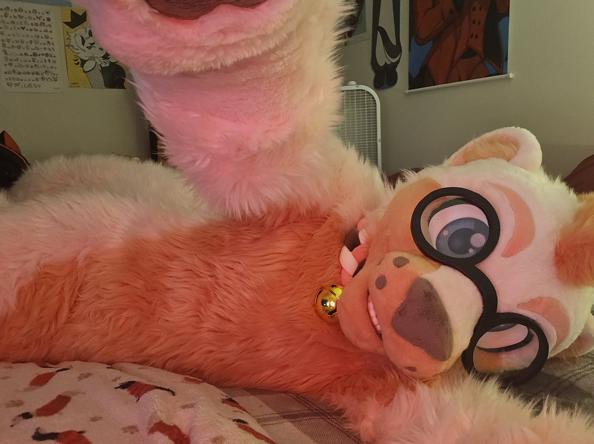 Hey! Come here, lemme hug you. 
#fursuit #furry