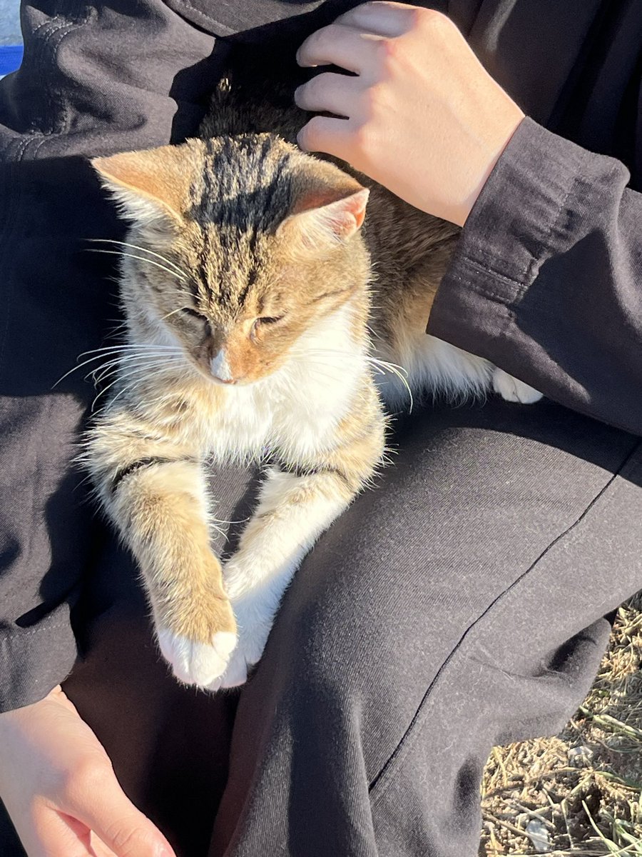 semiha (@semihagnr) on Twitter photo 