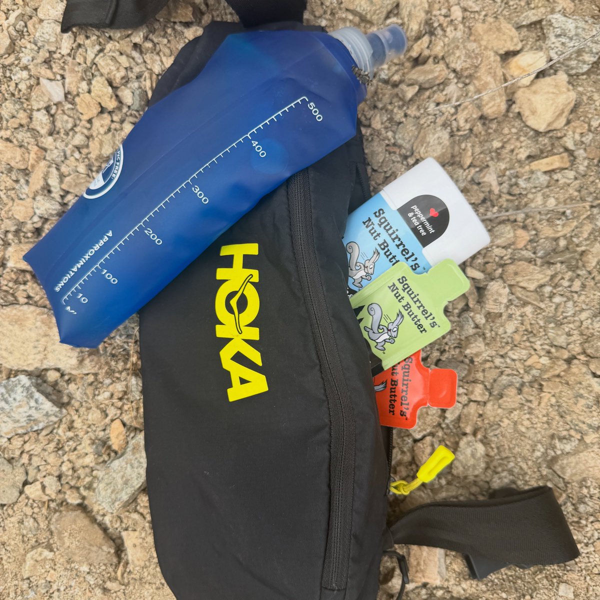 Squirrel's Nut Butter 🐿 tweet media