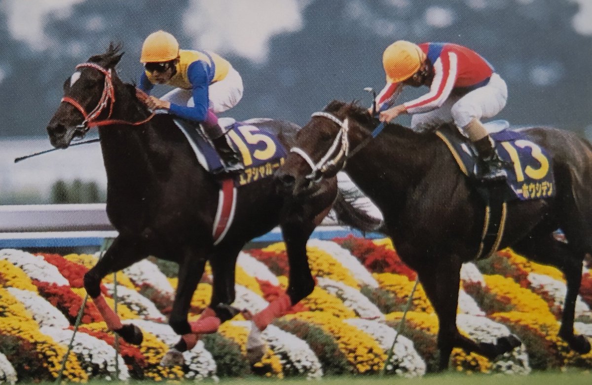 エアシャカール　菊花賞 2000 Kikuka Sho (GⅠ) | Air Shakkar | JRA Official - YouTube