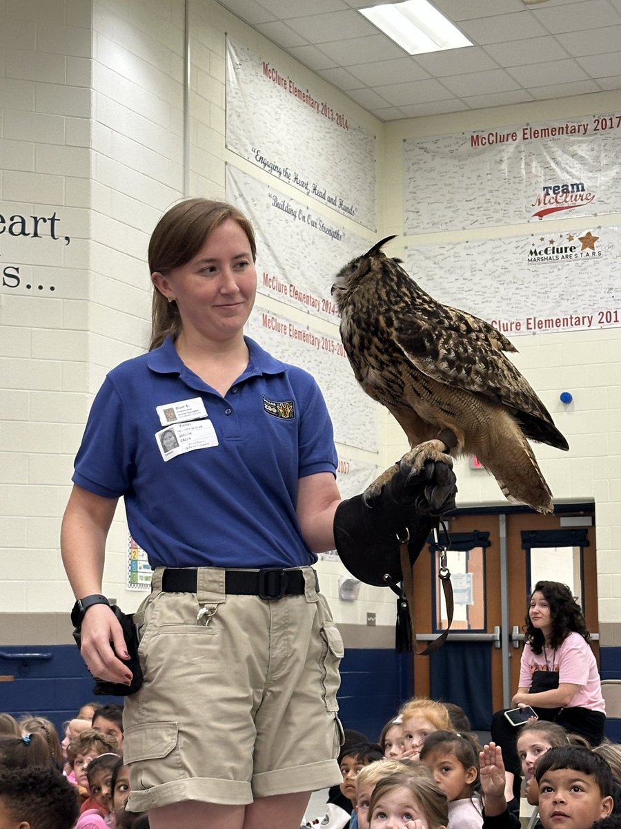 Kindergarten had their in-school field trip today! We had zookeepers from <a href="/DallasZoo/">Dallas Zoo</a> come share some amazing information on some pretty cool animals! Thanks for helping us learn about animals, their habitats, and their diet! #mccluremarshals #mcclure2526 #AnimalAdventures