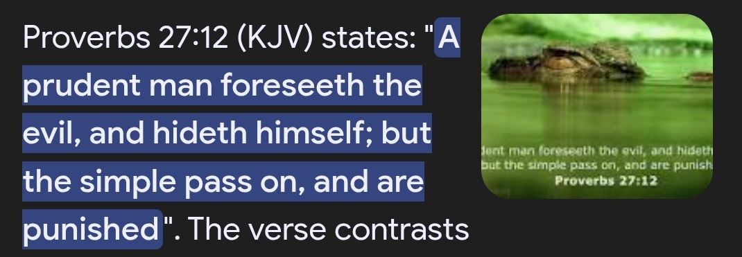 Programmerchriz's tweet image. Not KJV shaa