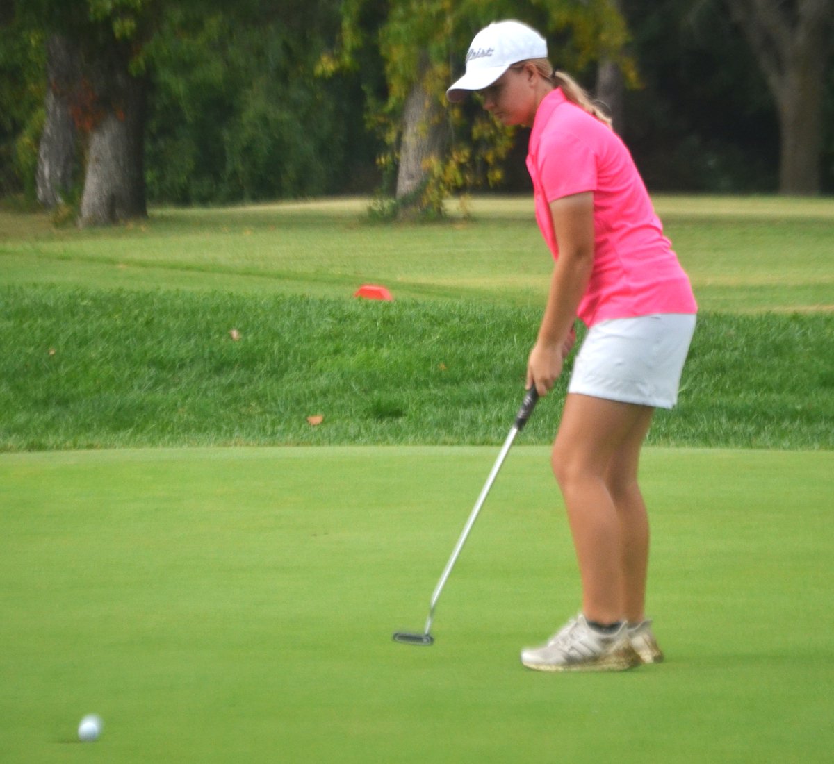 TopSports.news tweet media