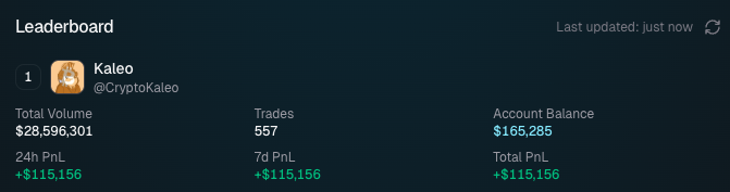 Jesus. This is insane PnL in only 24h. Either a really good bot or an entire team working 24/7 on this imo