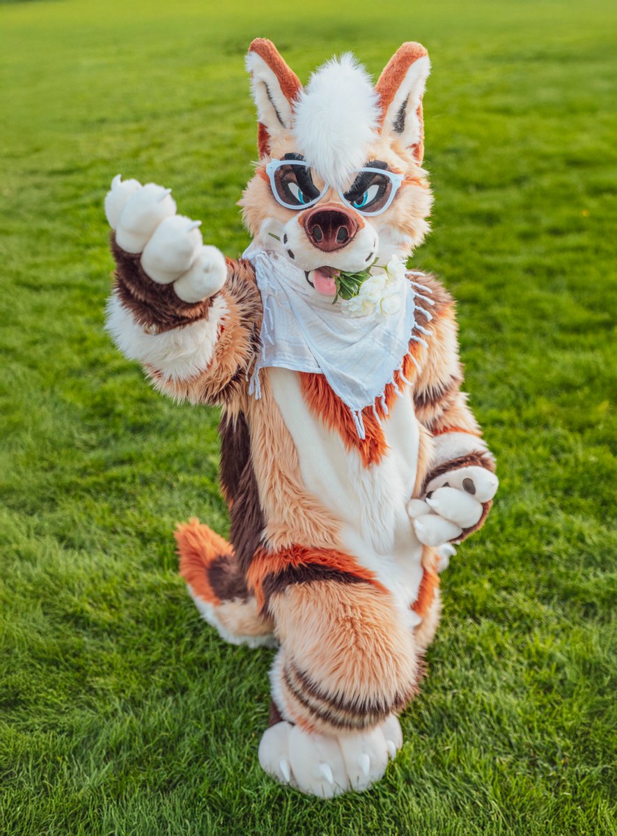 A Flower for You~ ༘⋆✿